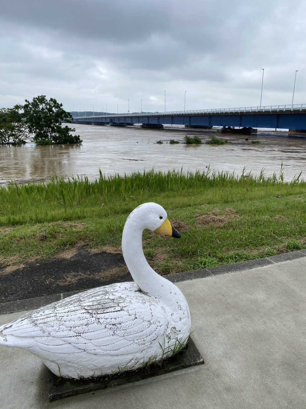 ６８年の人生初の水害経験です。⛈️